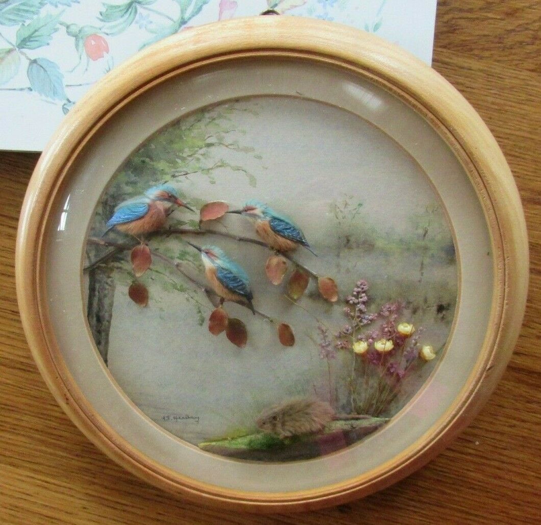 Kingfishers and Water Rat (7-inch)